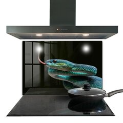 Apsauga nuo purslų stiklo plokštė Gyvatės laukinė gamta, 80x60 cm, įvairių spalvų kaina ir informacija | Virtuvės baldų priedai | pigu.lt