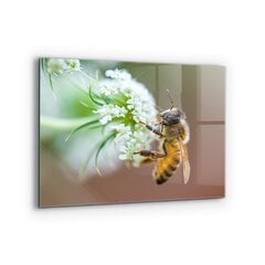 Apsauga nuo purslų stiklo plokštė Bitės renka žiedadulkes, 80x60 cm, įvairių spalvų kaina ir informacija | Virtuvės baldų priedai | pigu.lt