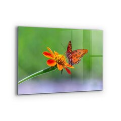 Apsauga nuo purslų stiklo plokštė Drugelis ant vasaros gėlių, 80x60 cm, įvairių spalvų kaina ir informacija | Virtuvės baldų priedai | pigu.lt