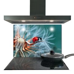 Apsauga nuo purslų stiklo plokštė Ladybug Raudonasis vabalas, 80x60 cm, įvairių spalvų kaina ir informacija | Virtuvės baldų priedai | pigu.lt