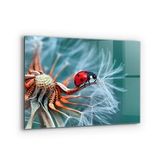 Apsauga nuo purslų stiklo plokštė Ladybug Raudonasis vabalas, 80x60 cm, įvairių spalvų kaina ir informacija | Virtuvės baldų priedai | pigu.lt