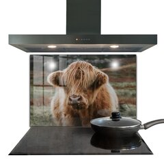 Apsauga nuo purslų stiklo plokštė Highland Cottage Style Cow, 80x60 cm, įvairių spalvų цена и информация | Комплектующие для кухонной мебели | pigu.lt