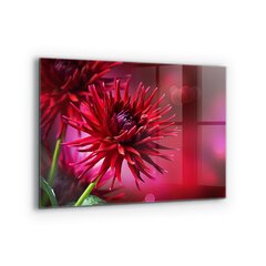 Apsauga nuo purslų stiklo plokštė Raudonoji Dahlia gėlė, 80x60 cm, įvairių spalvų kaina ir informacija | Virtuvės baldų priedai | pigu.lt