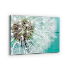 Apsauga nuo purslų stiklo plokštė Kiaulpienė vėjo augale, 80x60 cm, įvairių spalvų kaina ir informacija | Virtuvės baldų priedai | pigu.lt