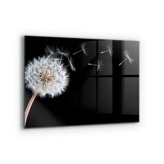 Apsauga nuo purslų stiklo plokštė Kiaulpienė Kiaulpienė vėjyje, 80x60 cm, įvairių spalvų kaina ir informacija | Virtuvės baldų priedai | pigu.lt