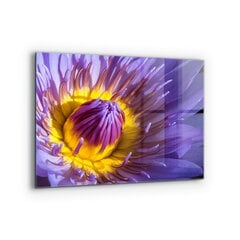 Apsauga nuo purslų stiklo plokštė Violetinės gėlių detalės, 80x60 cm, įvairių spalvų kaina ir informacija | Virtuvės baldų priedai | pigu.lt