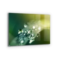 Apsauga nuo purslų stiklo plokštė Rasa ant žalių lapų, 80x60 cm, įvairių spalvų kaina ir informacija | Virtuvės baldų priedai | pigu.lt