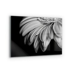 Apsauga nuo purslų stiklo plokštė Gerber juodai balta nuotrauka, 80x60 cm, įvairių spalvų цена и информация | Комплектующие для кухонной мебели | pigu.lt