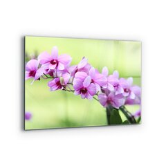 Apsauga nuo purslų stiklo plokštė Violetinė orchidėja, 80x60 cm, įvairių spalvų kaina ir informacija | Virtuvės baldų priedai | pigu.lt