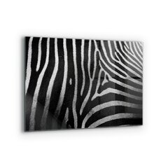 Apsauga nuo purslų stiklo plokštė Zebra Skin African Ext, 80x60 cm, įvairių spalvų kaina ir informacija | Virtuvės baldų priedai | pigu.lt