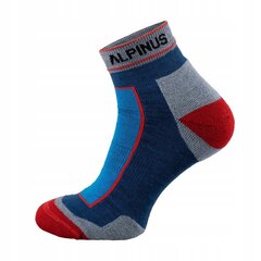Kojinės unisex Alpinus Sveg Low, mėlynos, 2 poros цена и информация | Мужские носки | pigu.lt