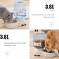 Automatinis maisto dozatorius katėms ir šunims, 3.8l, rožinis цена и информация | Dubenėliai, dėžės maistui | pigu.lt