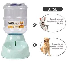 Automatinis vandens dozatorius katėms ir šunims, 3.8l, žalias kaina ir informacija | Dubenėliai, dėžės maistui | pigu.lt