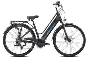 Elektrinis dviratis Esperia, 28", pilkas kaina ir informacija | Elektriniai dviračiai | pigu.lt