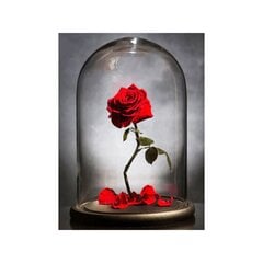 Deimantinė mozaika Rožė stikliniame kupole, 30x40 cm kaina ir informacija | Deimantinės mozaikos | pigu.lt
