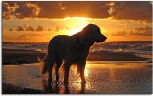 Deimantinė mozaika Šuo saulėlydžio metu, 40x30 cm kaina ir informacija | Deimantinės mozaikos | pigu.lt