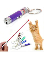 Kačių lazerinis žaislas Electronics LV-2131, 6 vnt. kaina ir informacija | Žaislai katėms | pigu.lt
