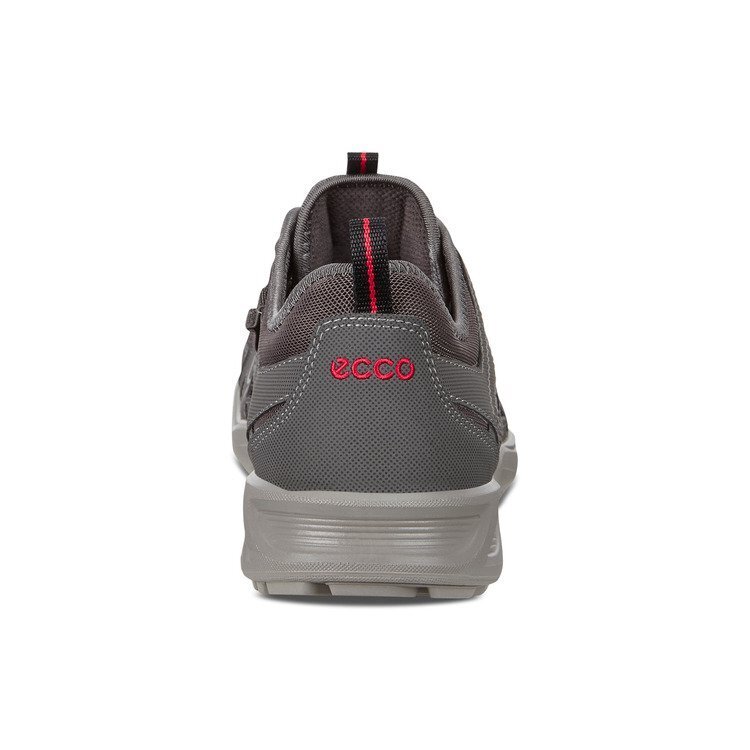 Sportiniai batai vyrams Ecco, pilki цена и информация | Kedai vyrams | pigu.lt