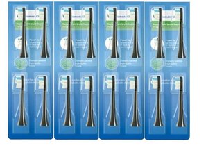 Насадки для электрических зубных щеток Philips Sonicare YM-6064, 12 шт. цена и информация | Насадки для электрических зубных щеток | pigu.lt