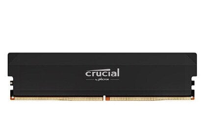 Crucial Pro CP16G60C36U5B цена и информация | Operatyvioji atmintis (RAM) | pigu.lt