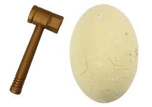 Archeologinis dinozauro kiaušinio rinkinys kaina ir informacija | Lavinamieji žaislai | pigu.lt