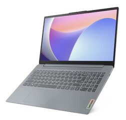 Lenovo IdeaPad Slim 3 15IAN8 (82XB002WMX) kaina ir informacija | Nešiojami kompiuteriai | pigu.lt