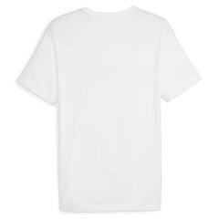 Marškinėliai vyrams Puma, balti kaina ir informacija | Vyriški marškinėliai | pigu.lt