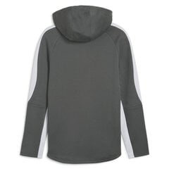 Evostripe full-zip hoodie puma 67899580 vīriešiem pilka men's grey 67899580 цена и информация | Мужские толстовки | pigu.lt