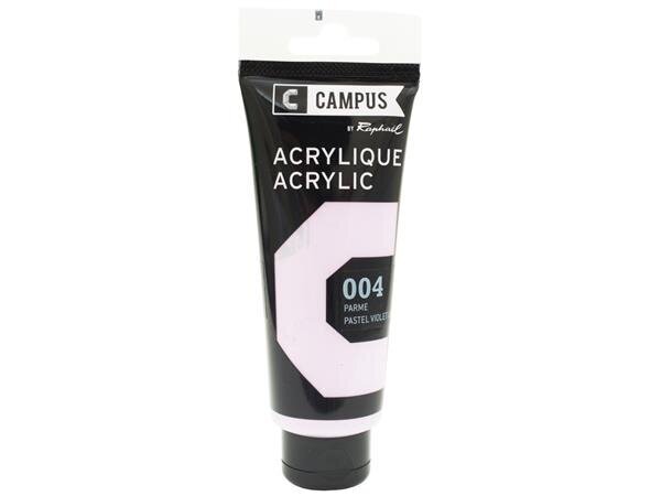 Akriliniai dažai Raphael Campus 004 Pastel Violet Light, 100 ml kaina ir informacija | Piešimo, tapybos, lipdymo reikmenys | pigu.lt