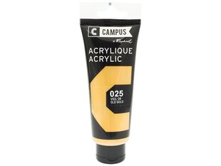 Akriliniai dažai Raphael Campus 025 Old Gold, 100 ml kaina ir informacija | Piešimo, tapybos, lipdymo reikmenys | pigu.lt