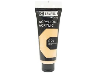 Akriliniai dažai Raphael Campus 027 Gold, 100 ml kaina ir informacija | Piešimo, tapybos, lipdymo reikmenys | pigu.lt