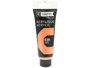 Akriliniai dažai Raphael Campus 036 Copper, 100 ml цена и информация | Принадлежности для рисования, лепки | pigu.lt