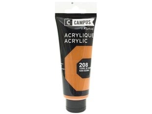 Akriliniai dažai Raphael Campus 208 Raw Sienna, 100 ml цена и информация | Принадлежности для рисования, лепки | pigu.lt