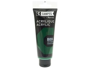 Akriliniai dažai Raphael Campus 809 Hooker's Green, 100 ml цена и информация | Принадлежности для рисования, лепки | pigu.lt