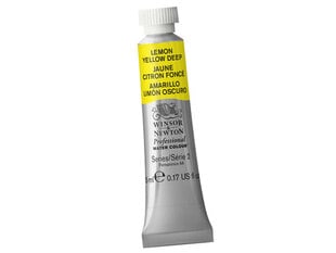 Akvareliniai dažai Winsor&Newton, 5ml kaina ir informacija | Piešimo, tapybos, lipdymo reikmenys | pigu.lt