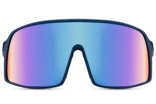 Солнцезащитные очки для мужчин Marqel L8167 цена и информация | Солнцезащитные очки для мужчин | pigu.lt