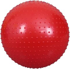 Gimnastikos kamuolys Harmony Hill's, 65 cm, raudonas kaina ir informacija | Gimnastikos kamuoliai | pigu.lt