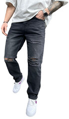 2Y Premium džinsai vyrams B9223/ALXD, pilki цена и информация | Мужские джинсы | pigu.lt