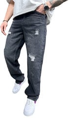 2Y Premium džinsai vyrams B9284, pilki цена и информация | Мужские джинсы | pigu.lt