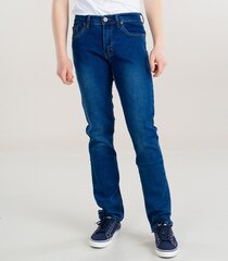 Мужские джинсы, тёмно-синий цена и информация | Мужские джинсы | pigu.lt