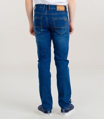 Мужские джинсы, тёмно-синий цена и информация | Мужские джинсы | pigu.lt