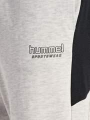 Штаны HUMMEL hmILGC BRYCE 21899051425700499019150 цена и информация | Мужские термобрюки, темно-синие, SMA61007 | pigu.lt