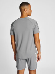Hummel marškinėliai vyrams, pilki цена и информация | Мужская спортивная одежда | pigu.lt