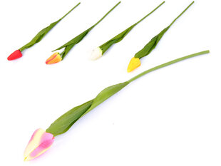 Dirbtinė tulpė 1 vnt. kaina ir informacija | Dirbtinės gėlės | pigu.lt