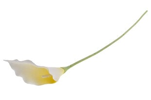 Dirbtinė gėlė Kalija kaina ir informacija | Dirbtinės gėlės | pigu.lt