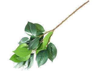 ветки из искусственных листьев, 145 см цена и информация | Искусственные цветы | pigu.lt