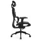 Levano system ergonominė kėdė, juoda kaina ir informacija | Biuro kėdės | pigu.lt