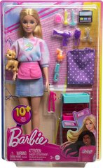 Lėlė Barbė su priedais Mattel, HNK95, 15 d. kaina ir informacija | Žaislai mergaitėms | pigu.lt
