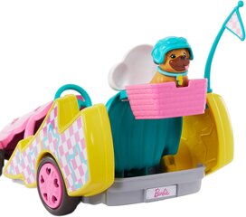 Lėlė Barbė Stacie su priedais Mattel, HRM08, 5 d. kaina ir informacija | Žaislai mergaitėms | pigu.lt