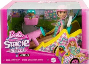 Lėlė Barbė Stacie su priedais Mattel, HRM08, 5 d. kaina ir informacija | Žaislai mergaitėms | pigu.lt